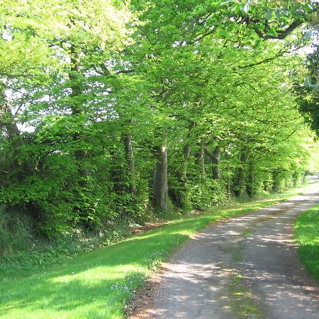 Ballinclea House Bed And Breakfast Brittas Bay Bagian luar foto