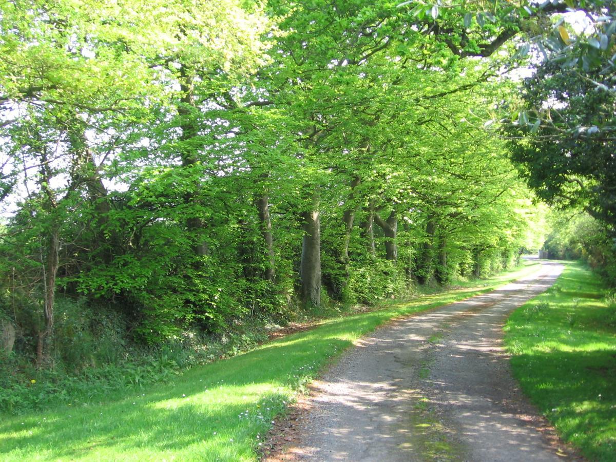 Ballinclea House Bed And Breakfast Brittas Bay Bagian luar foto